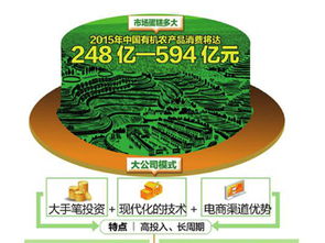 互聯(lián)網(wǎng)養(yǎng)豬新觀察 技術(shù)賦能下的產(chǎn)業(yè)動態(tài)與市場格局